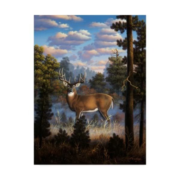 R W Hedge 'Morning Light White Tail' Canvas Art, 14x19, Trademark Fine Art, Mfr#: ALI45925-C1419GG